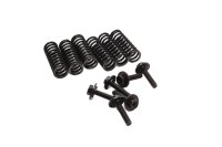 Clutch springs, screw set, pressure plate Yamaha FZS 1000 Fazer RN06 01-05