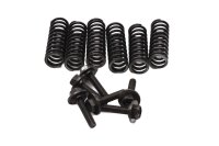 Clutch springs, screw set, pressure plate Yamaha FZS 1000 Fazer RN06 01-05