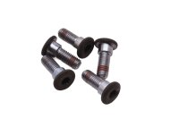 Remschijfschroevenset, zeskantkop Honda NC 700 S RC61 12-13