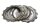Clutch plates, clutch discs, friction discs set Hyosung GT 650 GT650 04-07