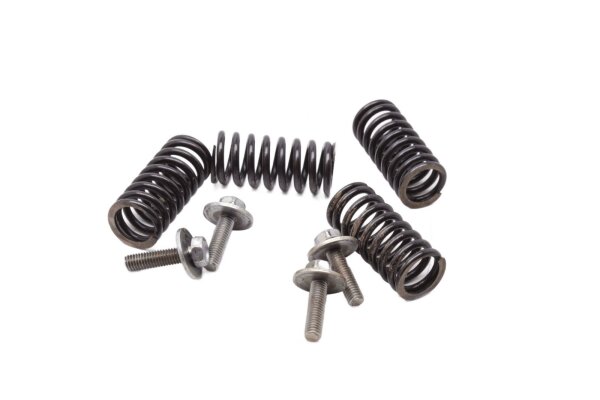 Clutch springs, screws, clutch kit Honda NX 650 Dominator RD08 95-02
