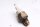 Coolant temperature sensor Kawasaki ER 5 Twister ER500A/B-D 01-06