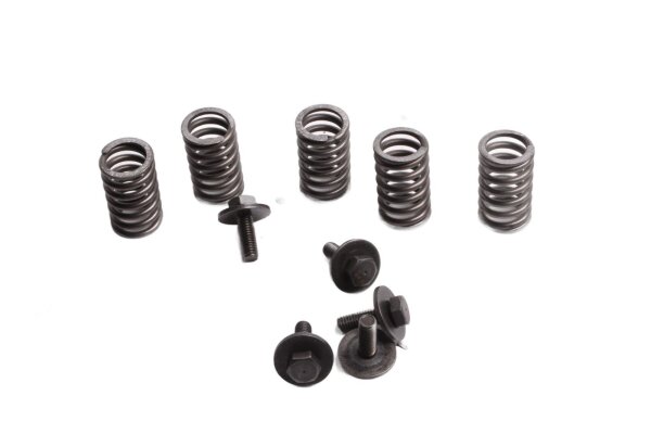 Koppelingsveren en schroevenset Kawasaki ER 5 Twister ER500A/B-D 01-06
