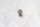 Koblingstrykbolt, gearkasse, koblingsmekanisme Honda CB Seven Fifty RC42 92-03