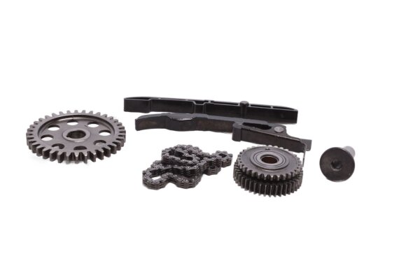 Steuerkette Kettenspanner Zahnräder Kawasaki KLV 1000 KLV1000A 04-06