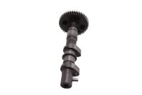 Árbol de levas, eje de control, engranaje impulsor, motor Kawasaki KLV 1000 KLV1000A 04-06