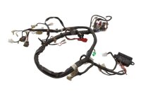 Hovedledningsnet, tændkabler, sikringsboks, relæer Yamaha FZS 600 Fazer RJ02 98-99