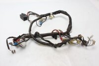 Hovedledningsnet, tændkabler, sikringsboks, relæer Yamaha FZS 600 Fazer RJ02 98-99