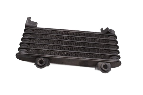 Oil cooler cooling fin, oil line protective grille Kawasaki KLV 1000 KLV1000A 04-06