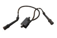 Tændspole, tændkabel, dobbeltspole, cylinder 1-4 Yamaha FZS 600 Fazer RJ02 98-99
