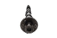 Moteur de commande dentraînement darbre à cames 114024 Triumph Sprint ST 1050 215NA 05-10
