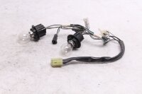 Cablaggio luce posteriore portalampada luce freno Kawasaki KLV 1000 KLV1000A 04-06