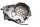 Clutch cover right, water pump, engine cover Kawasaki KLV 1000 KLV1000A 04-06
