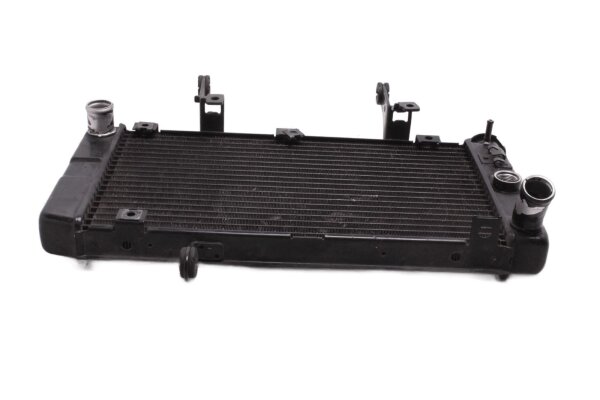 Wasserkühler Kühler Motorkühlung Kawasaki KLV 1000 KLV1000A 04-06