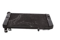 Wasserkühler Kühler Motorkühlung Kawasaki KLV 1000 KLV1000A 04-06
