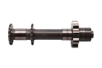 Oliepompas, aandrijfas, oliepomp, tandwiel, motor BMW R 1100 GS 259 94-99