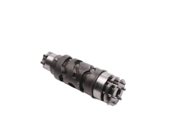 Shift drum, gearbox shaft, shift mechanism Ducati Monster Dark ZDM300AA 98-01