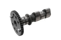 Bakre kamaxel, transmissionsaxel, drivning Honda VTR 1000 F Fire Storm SC36 97-06