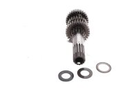 Getriebewelle Schaltwelle Gangrad Ducati Monster Dark ZDM300AA 98-01