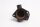 Thermostat housing coolant sensor Triumph Speed Triple T509 T509 501 97-99