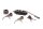 Gearstang, gearskiftetromle, gafler Triumph Speed Triple T509 T509 501 97-99