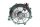 Cache dalternateur gauche, cache de démarreur Honda VTR 1000 F Fire Storm SC36 97-06
