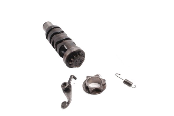 Shift drum, gearbox, shift lever, shift cam Suzuki GSF 1200 Bandit GV75A 96-00