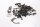 Motorschrauben Lager Motorblech Klemmen Satz Suzuki GSF 1200 Bandit GV75A 96-00