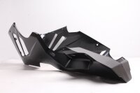 Front fairing, lower front fairing Honda CBR 1000 RR-RA Fireblade 21-21