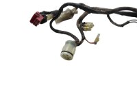 Aansluitingen van de hoofdkabelboom Honda XRV 750 Africa Twin RD04 90-92