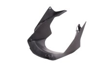 Paraspruzzi parafango posteriore Honda CBR 1000 RR-RA Fireblade 21-21