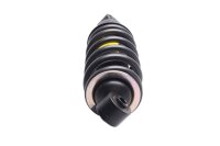 Rear strut, shock absorber, monospring, swingarm, damper Unbekannt Konvolut