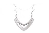 Windshield clear, fairing screen, front guard BMW S 1000 RR K46 0507 09-11