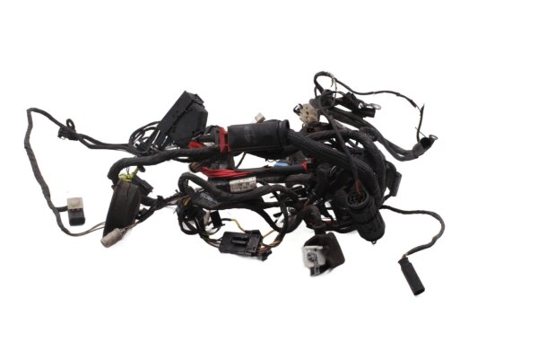 Ledningsnet, hovedledningssæt, elektrisk system, tændingsafbryder BMW F 650 CS K14 02-05
