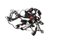 Ledningsnet, hovedledningssæt, elektrisk system, tændingsafbryder BMW F 650 CS K14 02-05