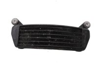 Ölkühler Kühlrippen Kühlmodul Ölleitung BMW K 1200 R K12R K43 0584 05-08
