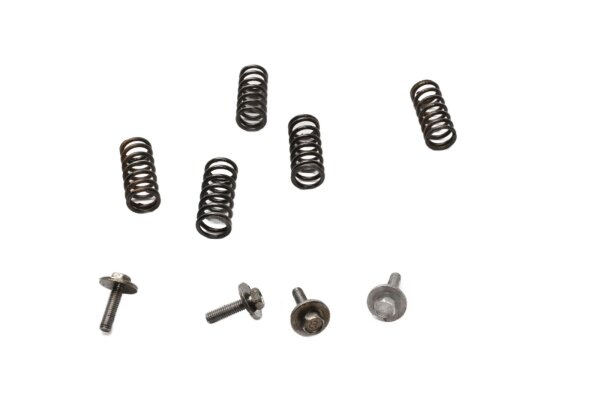 Clutch springs, screws, clutch basket set Triumph Sprint ST1050 215NA 05-10