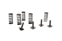 Clutch springs, screws, clutch basket set Triumph Sprint ST1050 215NA 05-10