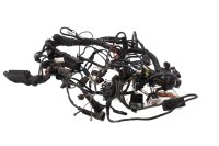 Kabelbaum Hauptkabelbaum Zündungsverkabelung BMW R 1100 GS 259 0409 94-99