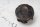 Kolben Kolbenbolzen Sicherungsring Zylinder BMW K 1200 R K12R K43 0584 05-08