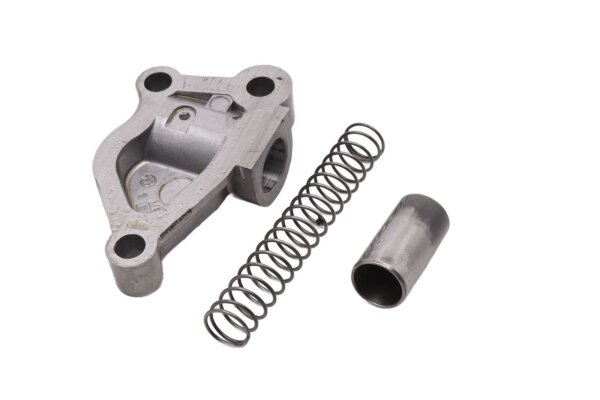Chain tensioner, timing chain, chain tensioner spring BMW R 1100 S 259 0422 R2S 98-05