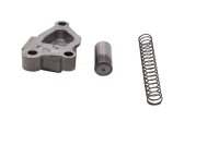 Chain tensioner, timing chain, chain tensioner spring BMW R 1100 S 259 0422 R2S 98-05