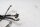 Bremszug hinten Hydraulikleitung Bremsschlauch BMW K 1200 R K12R K43 0584 05-08