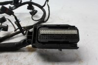 Kabelhärva, bränsleinsprutningssystem, tändningskontakt BMW K 1200 R K12R K43 0584 05-08