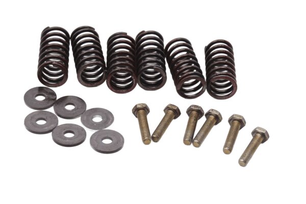 Kupplungsfedern Schrauben Satz Druckplattenfeder Set BMW F 650 CS K14 02-05