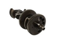 Krumtapaksel plejlstang krumtapaksel drivmotoraksel BMW K 1200 R K12R K43 0584 05-08