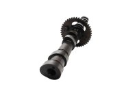 Nockenwelle Antrieb Motor Steuerwelle Ventilsteuerung Honda CBX 650 RC13 83-87