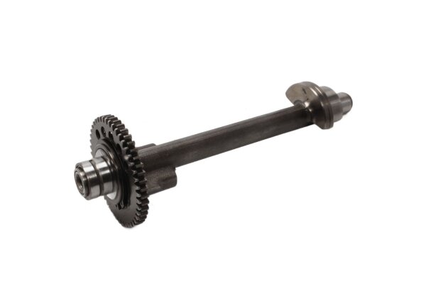 Ausgleichswelle Kurbeltrieb Schwingungsdämpfer Triumph Sprint ST1050 215NA 05-10