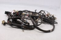 Wiring harness, main wiring harness, electrical system, ignition Aprilia SL 1000 Falco ZD4PA 99-04