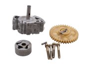 Ölpumpe Antriebsrad Rotor Schrauben 211620 Aprilia SL 1000 Falco ZD4PA 99-04